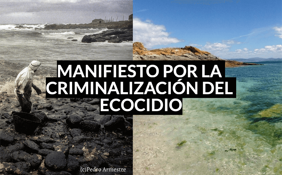 image for article Colaboramos con Stop Ecocidio España y la Fundación Fibgar en el Manifiesto por la Criminalización del Ecocidio